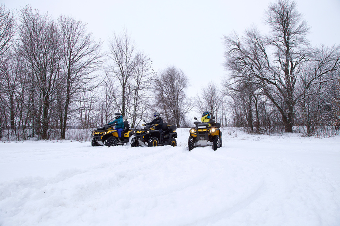 Альтанка capri