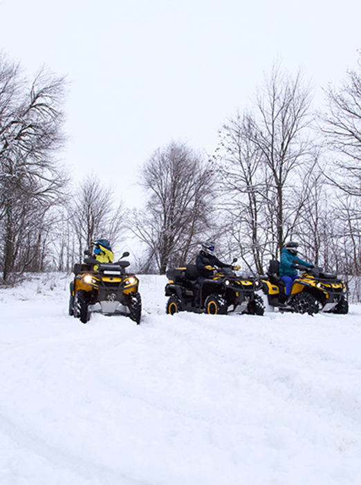 Альтанка capri