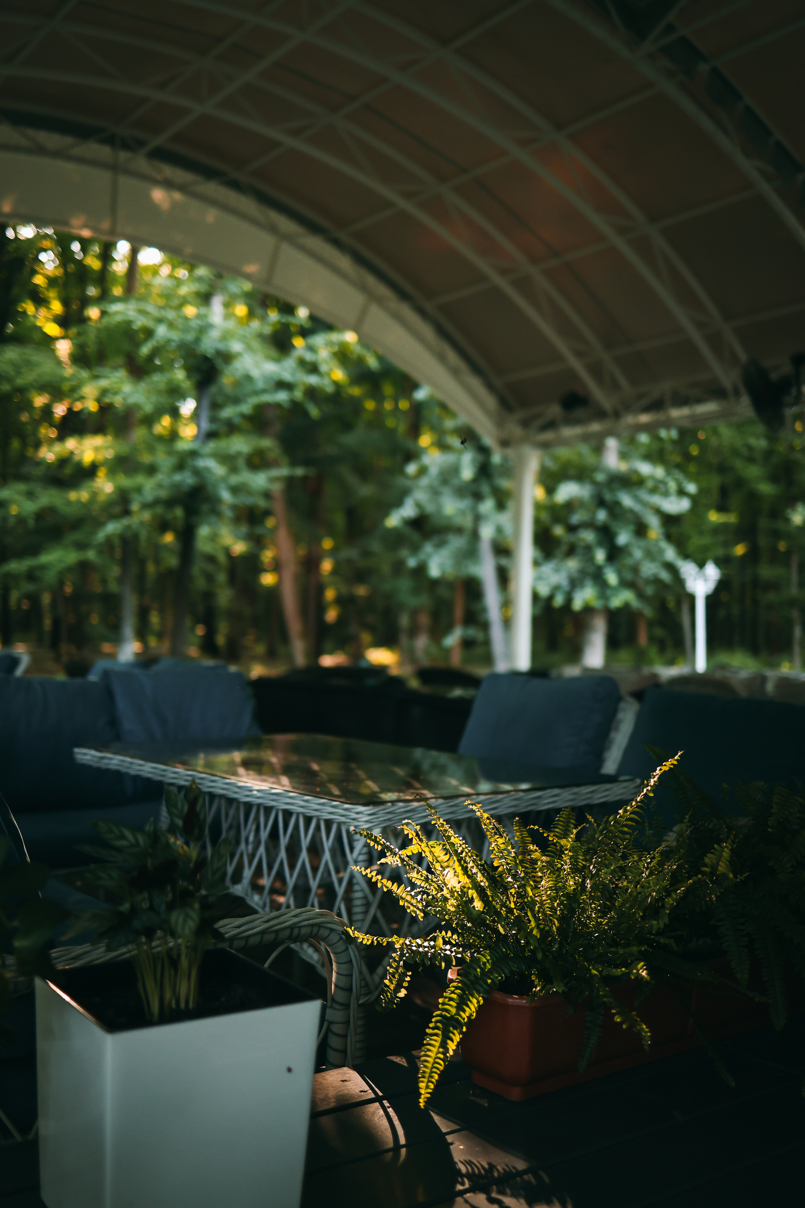 Ресторан Positano